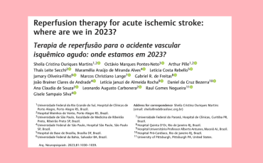 Reperfusion therapy for acute ischemic stroke: where are we in 2023?